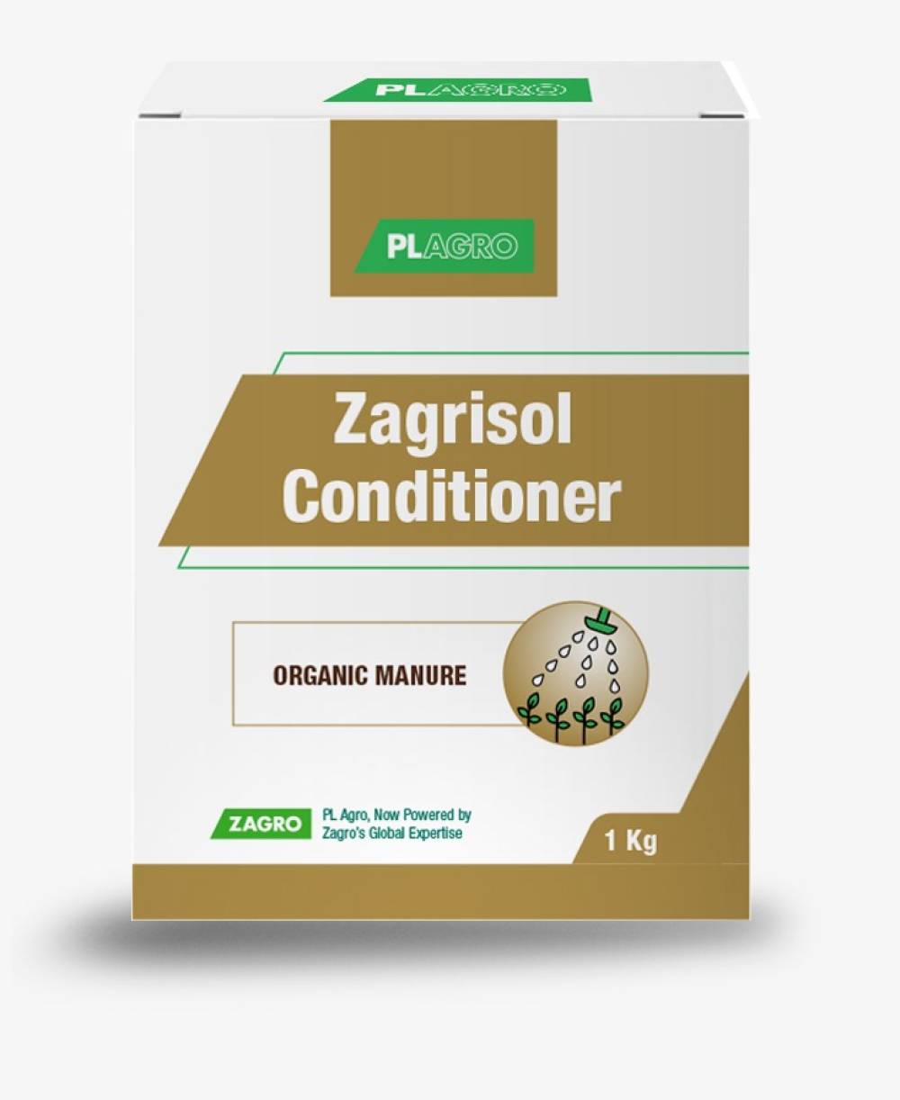 Zagrisol Conditioner